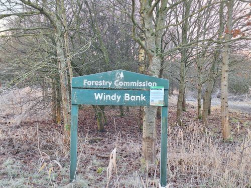 Windy Bank Sign